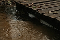 Rostoczek 11.2008 112